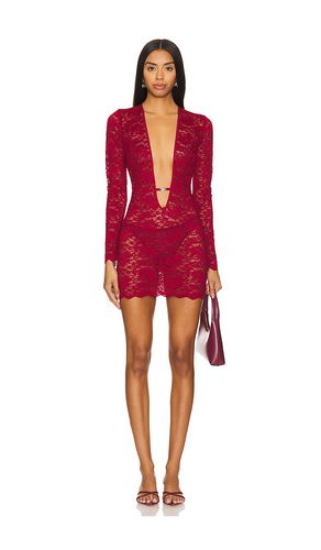 Violetta Sheer Mini Dress in . - size L (also in M, S, XL, XS, XXS) - superdown - Modalova