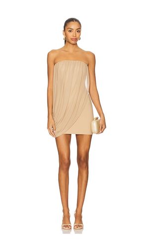 Elodie Mini Dress in . - size L (also in M, S, XS) - superdown - Modalova