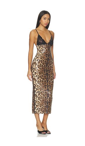 KLEID DANTE in . Größe L. Also in M, S, XS, XXS - superdown - Modalova