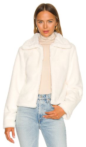 Tianna Faux Fur Jacket in . Size S, XL - superdown - Modalova