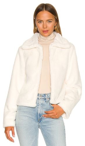 Tianna Faux Fur Jacket in . Taglia S, XL, XS - superdown - Modalova