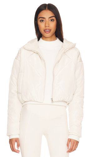 Rania Cropped Jacket in . Size M, S, XL, XXS - superdown - Modalova