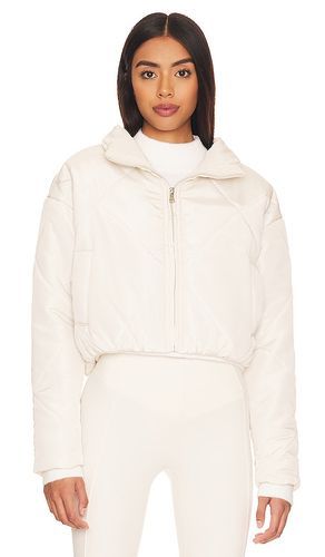 Rania Cropped Jacket in . Size L. Also in XL - superdown - Modalova