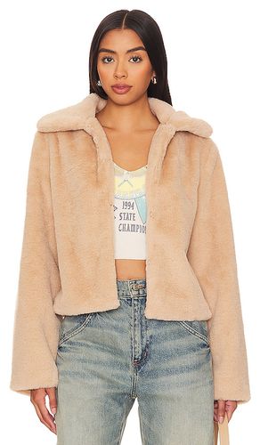 Tianna Faux Fur Jacket in . Size M, S, XL - superdown - Modalova