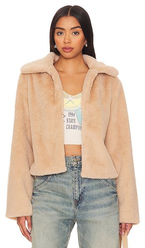 Tianna Faux Fur Jacket in . Taglia M - superdown - Modalova