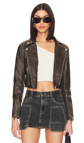Cora Faux Leather Jacket in . Size M, S, XL, XS - superdown - Modalova