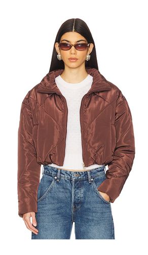 Rania Cropped Jacket in . Taglia M, S, XL, XS, XXS - superdown - Modalova