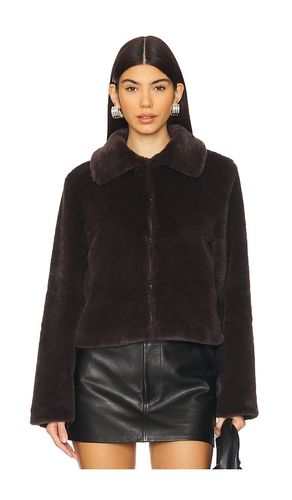 Tianna Faux Fur Jacket in Chocolate. - size S (also in XS, XXS) - superdown - Modalova