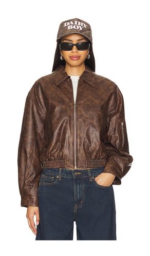 Janeka Jacket in . - size M (also in S, XL, XS, XXS) - superdown - Modalova