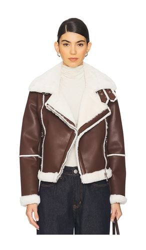 Genna Zip Up Jacket in . Size M, S, XL, XS, XXS - superdown - Modalova