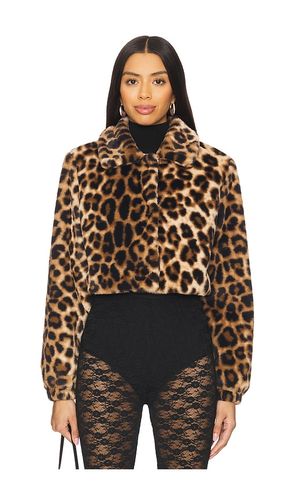 Valdis Faux Fur Jacket in . Taglia M, S, XS - superdown - Modalova