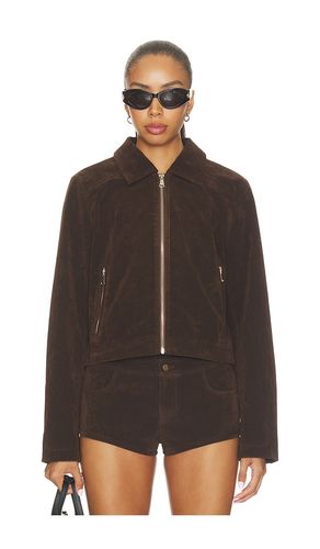 JACKE FRANNIE in . Größe L. Also in M, S, XL, XS, XXS - superdown - Modalova