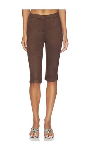 Ayla Faux Suede Capri in Chocolate. - size L (also in M) - superdown - Modalova