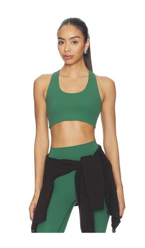 Sara Airweight Bra in Dark Green. - size M (also in S, XS) - Splits59 - Modalova