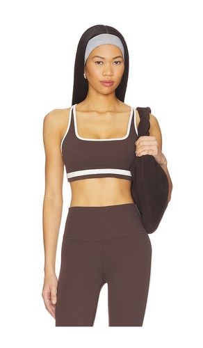 Bianca Rigor Bra in Chocolate. - size M (also in S, XS) - Splits59 - Modalova