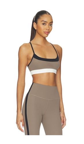 Scottie Airweight Bra in Brown. - size M (also in S) - Splits59 - Modalova