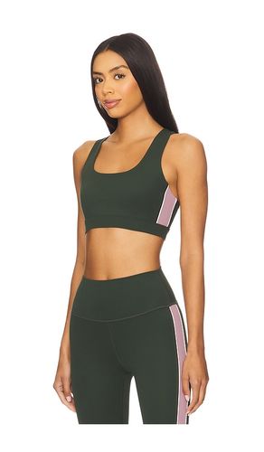 Lexi Rigor Sports Bra in Dark Green. - size L (also in M, S, XS) - Splits59 - Modalova