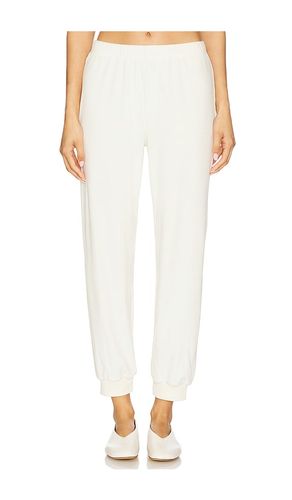 Rhys Velour Jogger in Cream. - size M (also in S, XS) - Splits59 - Modalova