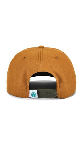 Bear Cap in - Sendero Provisions Co. - Modalova