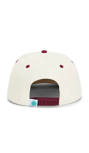 Cowboy Hat Panel Hat in - Sendero Provisions Co. - Modalova