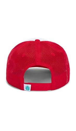Monanatana Trucker Hat in - Sendero Provisions Co. - Modalova