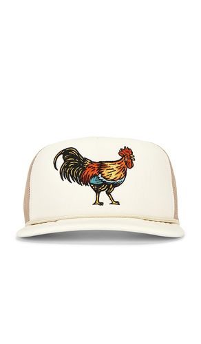 Yardbird Hat in - Sendero Provisions Co. - Modalova
