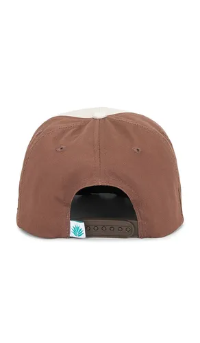 Dueling Cicadas Hat in - Sendero Provisions Co. - Modalova