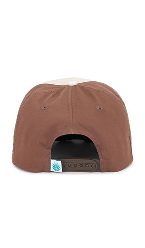 HUT DUELING CICADAS in - Sendero Provisions Co. - Modalova