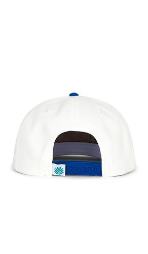 Dusty Trails Hat in - Sendero Provisions Co. - Modalova