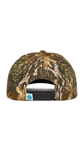 Yippee Ki Yay Hat in - Sendero Provisions Co. - Modalova
