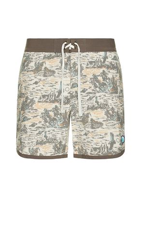Point Bar Boardshorts in Brown. - size 30 (also in 31, 32, 33, 34) - Sendero Provisions Co. - Modalova