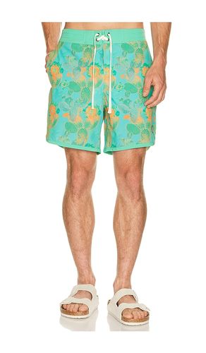 BOARDSHORTS POINT BAR in . Größe 30. Also in 32, 34, 36 - Sendero Provisions Co. - Modalova