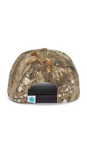 Yippee Ki Yay Cap in Brown - Sendero Provisions Co. - Modalova