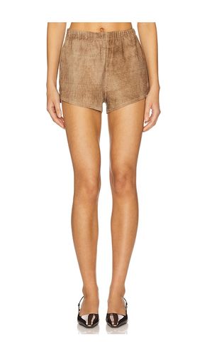 Dolphin Shorts in Brown. - size M (also in S) - SPRWMN - Modalova