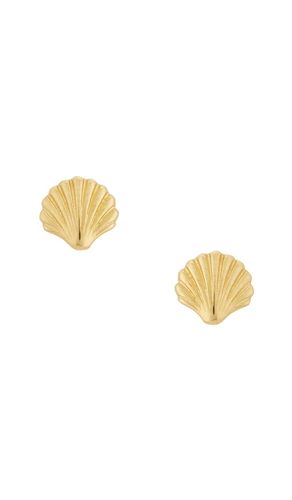 Scallop Shell Earrings in - STONE AND STRAND - Modalova