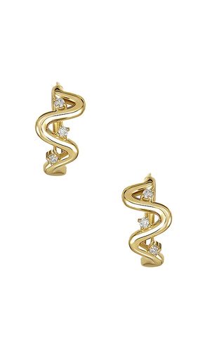 Harbor Lights Huggie Earrings in - STONE AND STRAND - Modalova