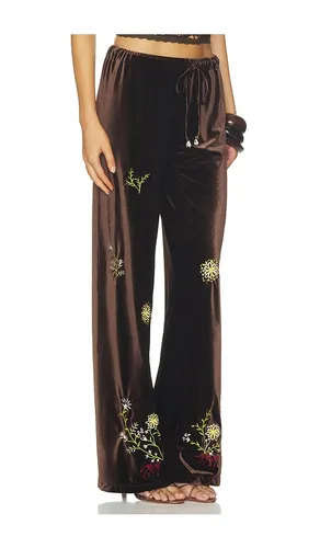 Manoce Pant in Chocolate. - size 34 (also in 36, 38, 40) - SIEDRES - Modalova