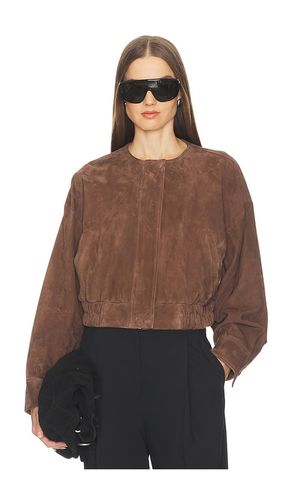 Danica Suede Jacket in Brown. - size L (also in S) - SRG - Modalova