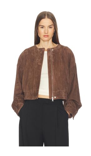 Danica Suede Jacket in . Size L. Also in M, S, XL, XS - SRG - Modalova