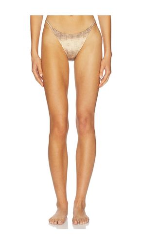 Amy Bikini Bottom in Brown. - size L (also in M) - Selia Richwood - Modalova