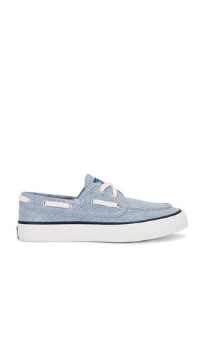Classic Seatmate Sneaker in Blue. - size 10 (also in 6, 6.5, 7, 7.5, 8, 8.5, 9, 9.5) - Sperry - Modalova