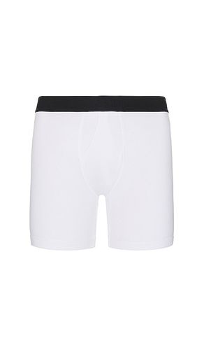 Standard 6in Boxer Brief in . - size L (also in M, S, XL) - Stance - Modalova