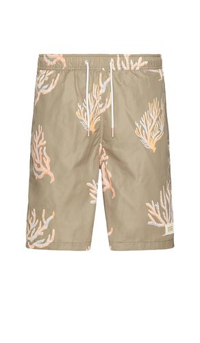 Long Length Swim Short in Brown. - size L (also in M, S, XL/1X) - Scotch & Soda - Modalova