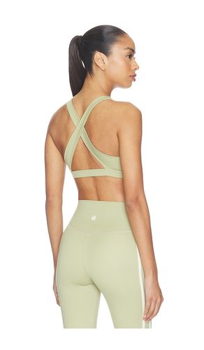 The X-factor Sports Bra in . - size L (also in M, S) - STRUT-THIS - Modalova