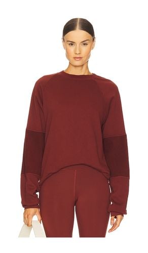 Wren Sweatshirt in Wine. - size L (also in M, S, XL, XS) - STRUT-THIS - Modalova