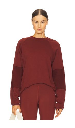 Wren Sweatshirt in Wine. - size L (also in S, XL, XS) - STRUT-THIS - Modalova