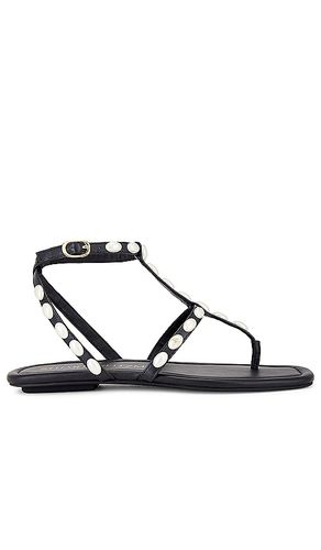 Pearlita Flat Sandal in . - size 7.5 (also in 8.5, 9.5) - Stuart Weitzman - Modalova