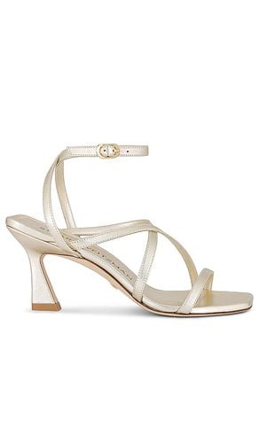 Oasis Sandal in Metallic Gold. - size 6.5 (also in 7.5) - Stuart Weitzman - Modalova