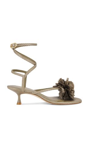 Belize 50 Sandal in Beige. - size 6 (also in 6.5, 7, 7.5, 8, 8.5, 9, 9.5) - Stuart Weitzman - Modalova