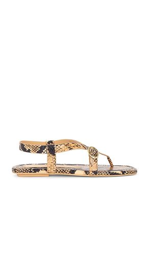 Benni Sandal in . Size 6.5, 7, 7.5, 8, 8.5, 9 - Stuart Weitzman - Modalova